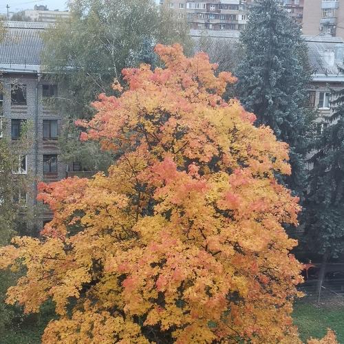 Краски осени