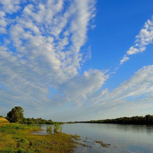 Photo #2992975