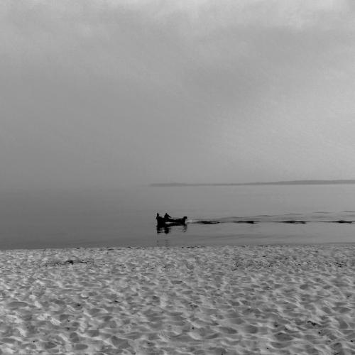 Fog