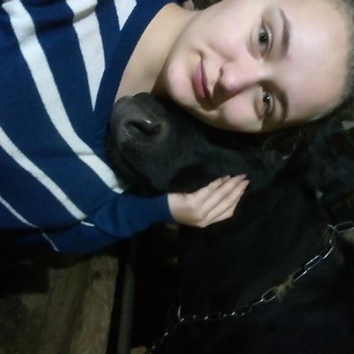 Photo #2993120