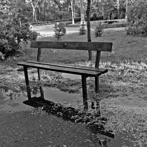 In a Puddle Distance