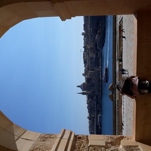 The window