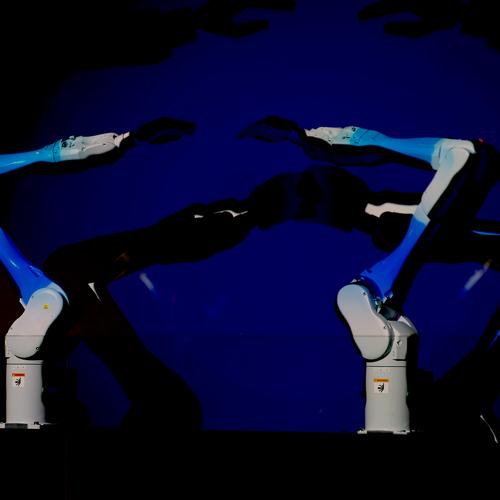 Photo #2994828