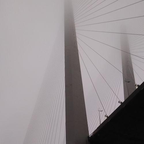 Золотой мост в тумане