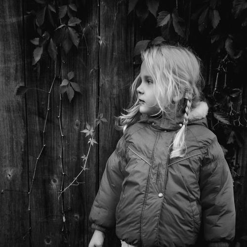 Photo #2996090