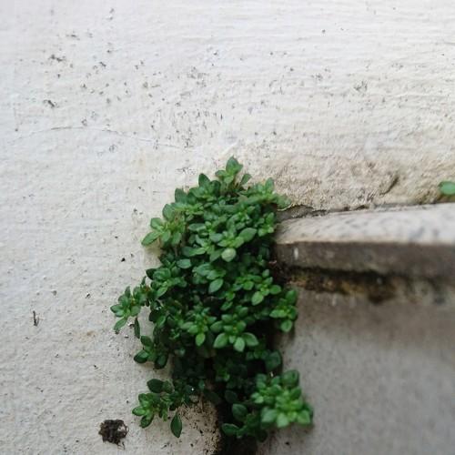Never give up