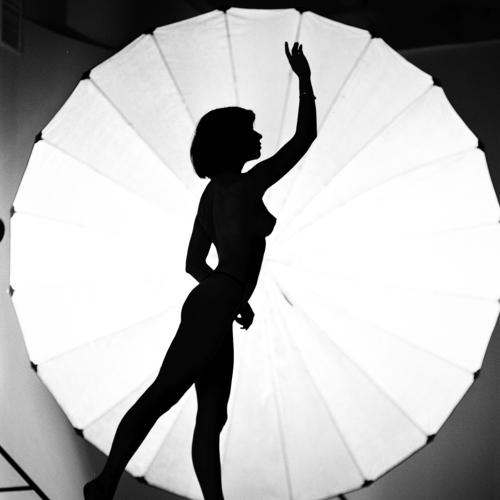 silhouette