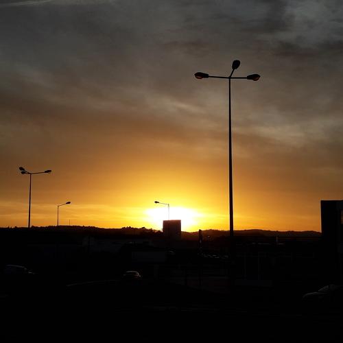 Early Morning