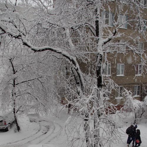 снег