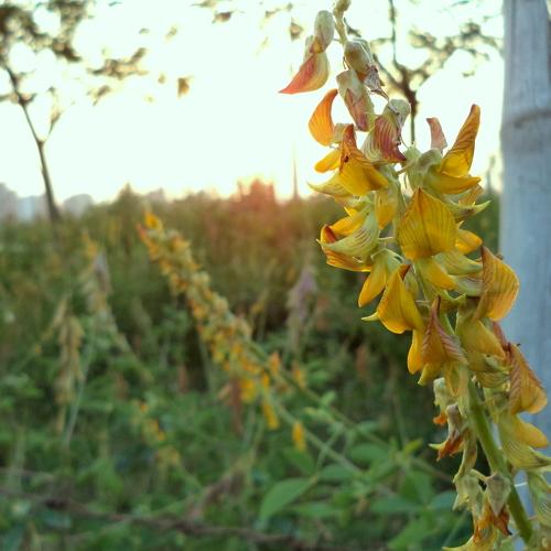 Photo #3001975