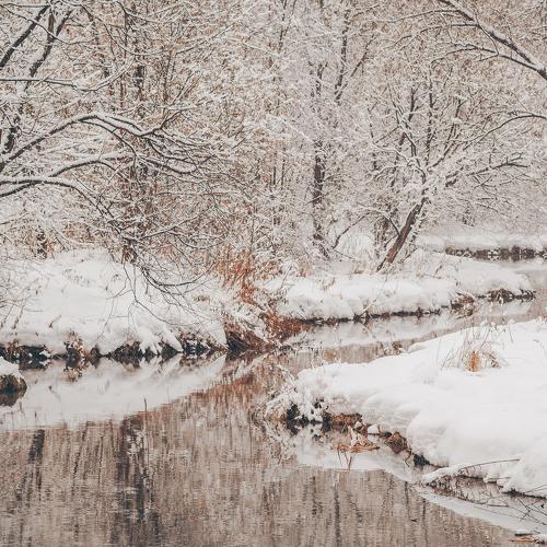 Зеркало-река /  Mirror river