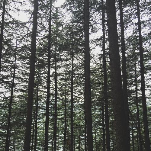 Photo #3003313