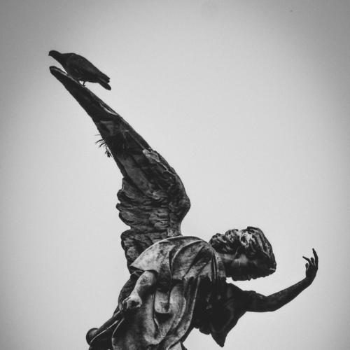 black angel