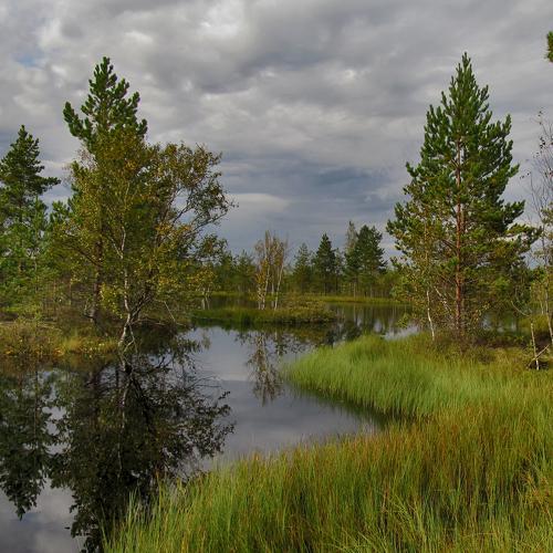 На бровках