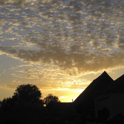 Photo #3004282