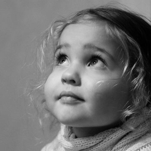 Photo #3005874