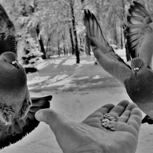 КТО БЫСТРЕЕ