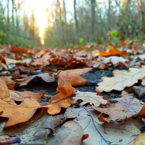 Photo #3006435