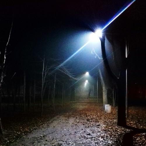 Photo #3006441