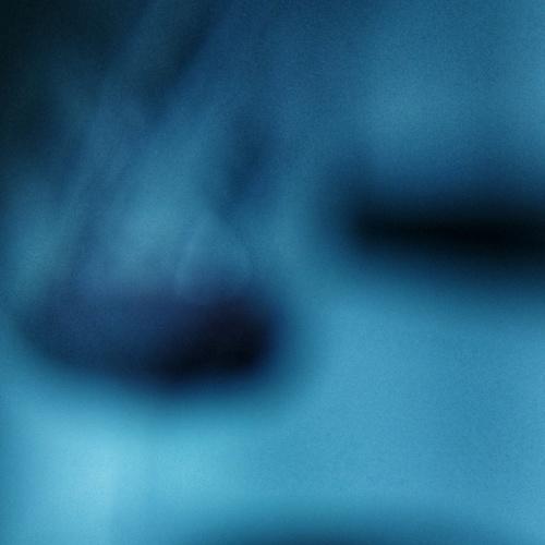 Photo #3006496