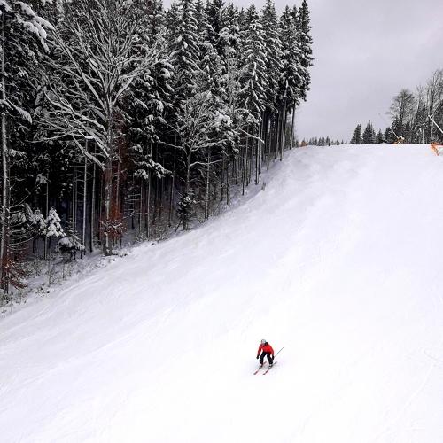 Adrenalin