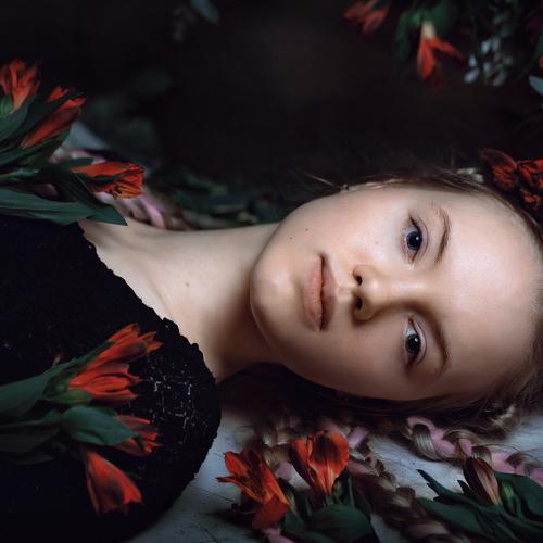 Photo #3007686