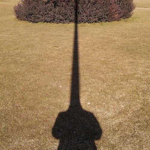 Selfie portrait