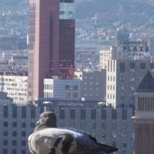 Voiaj(or)... în Barcelona! 2