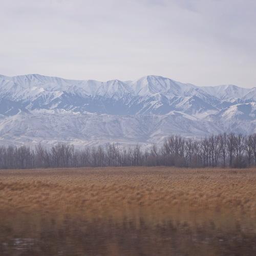 Photo #3008209