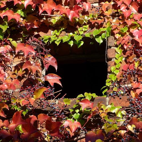 indian summer