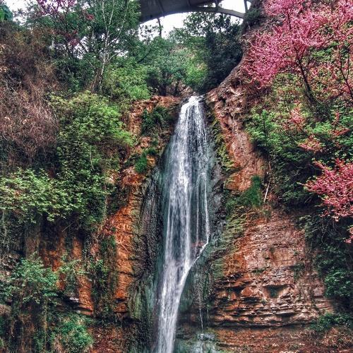 Photo #3008453