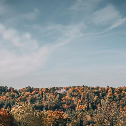 Colorful autumn