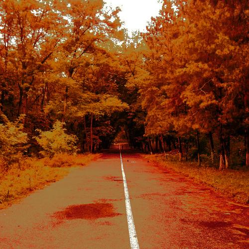 Running in the morning