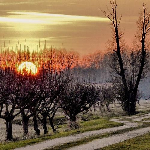 Sunset over countryside