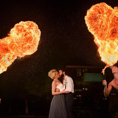 Photo #3009389