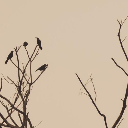 Silhouette