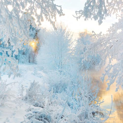 Photo #3009709