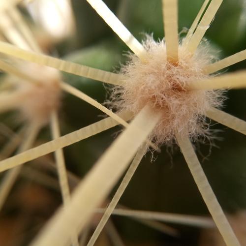 Photo #3010806