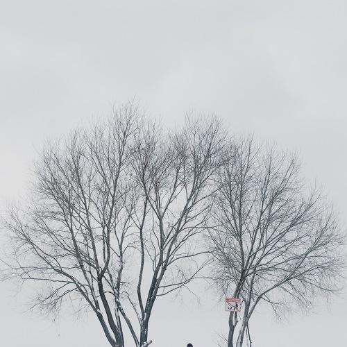Loneliness