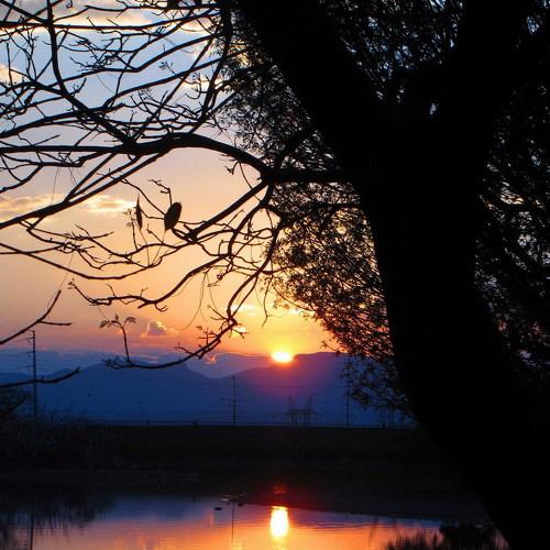 Apparent calm