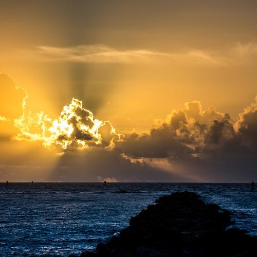 Photo #3011855