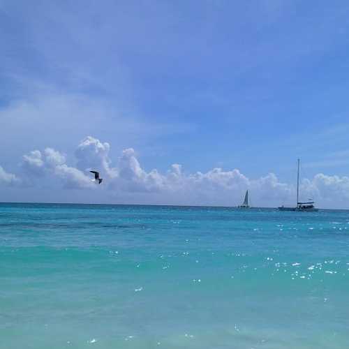 Photo #3012168