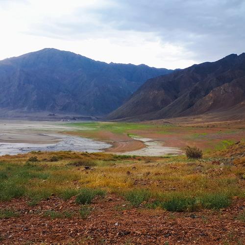 Photo #3012766