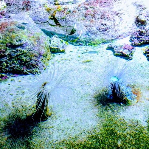 Photo #3012906