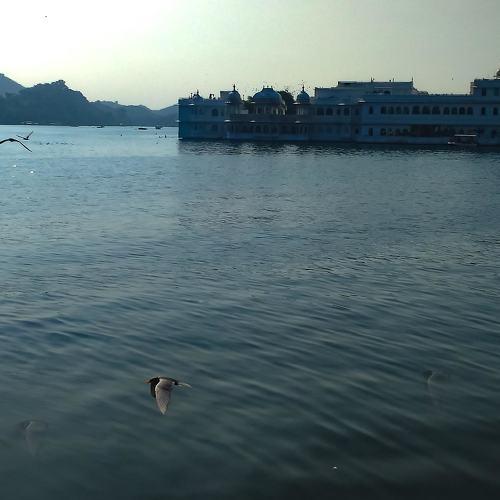 lake view Udaipur