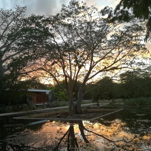 Atardecer