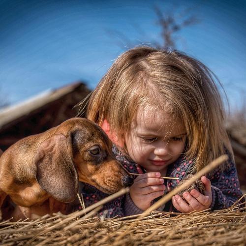 Best friends forever