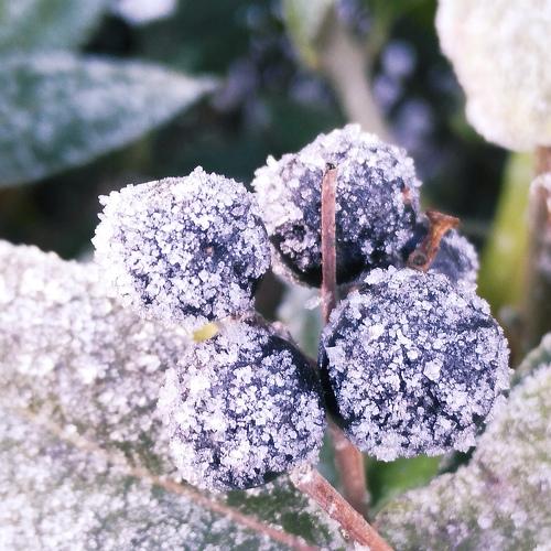 Photo #3018849