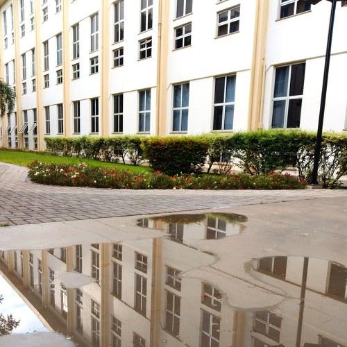 Universidade