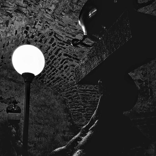 Photo #3019936